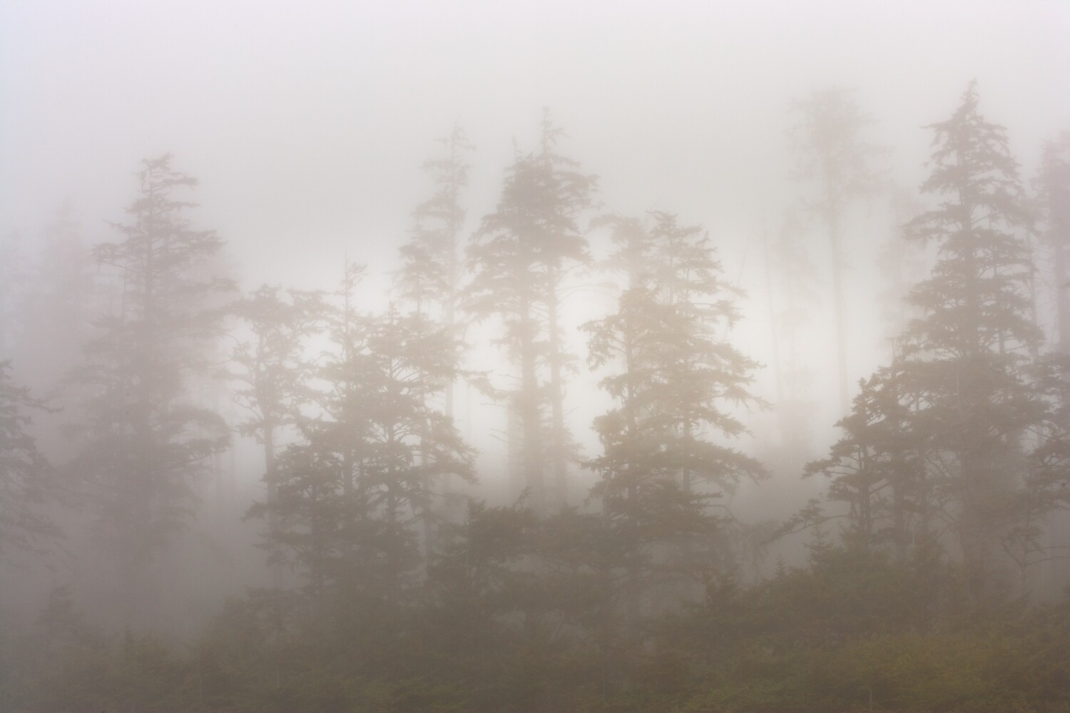 Nature photography