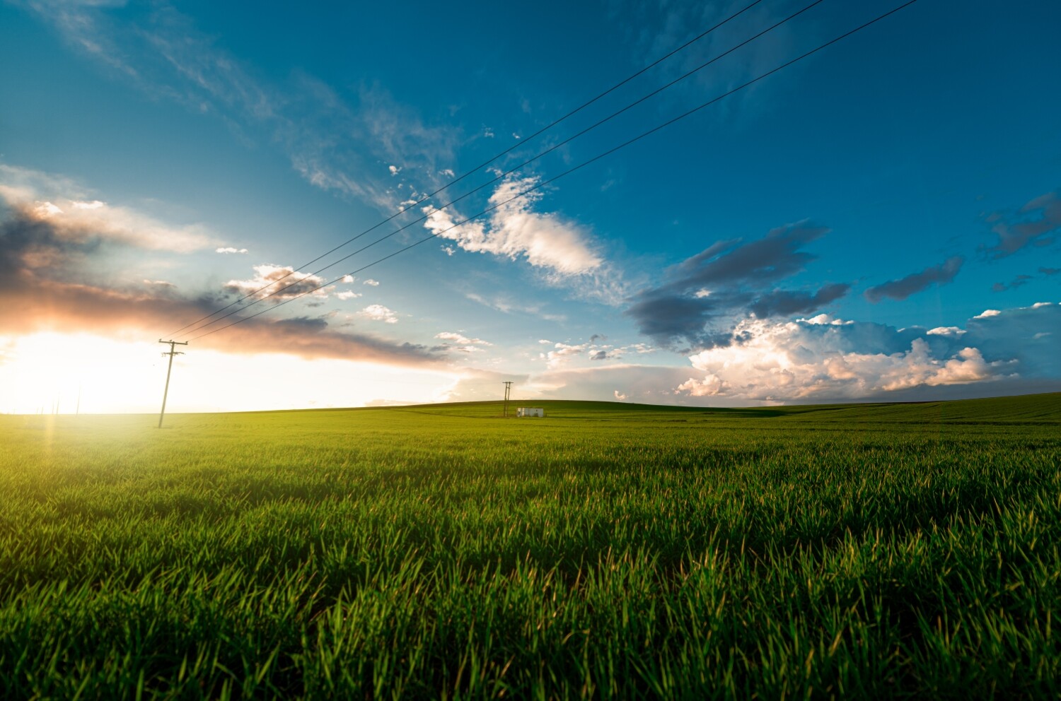 Nature photography